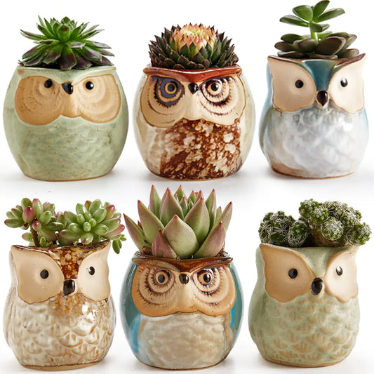 6-Piece Owl Pot Ceramic Set